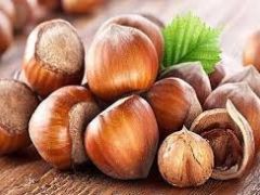 Erbaa’da TMO Fındık Alımına Başladı