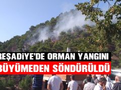 REŞADİYE’DE ORMAN YANGINI BÜYÜMEDEN SÖNDÜRÜLDÜ