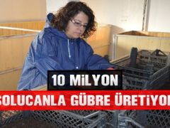 10 MİLYON SOLUCANLA GÜBRE ÜRETİYOR