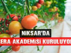 NİKSAR DA SERA AKADEMİSİ KURULUYOR