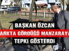 Başkan Özcan Parkta Gördüğü Manzaraya Tepki Gösterdi