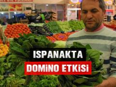 Ispanakta Domino Etkisi