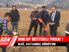 Dokap Destekli Proje ! Bağ, Vatanına Dönüyor